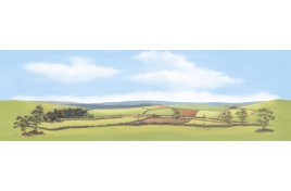 Country Landscape Backscene Large